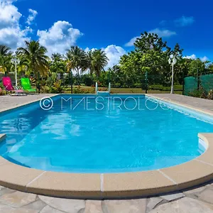 https://charmant-studio-avec-piscine-saint-francois-grande-terre.comcaribbean.com